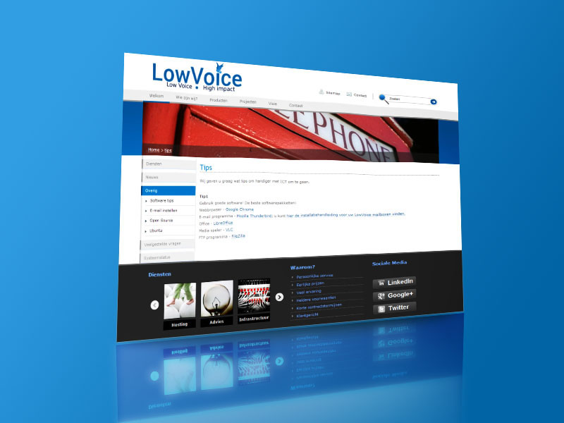 LowVoice Website Design