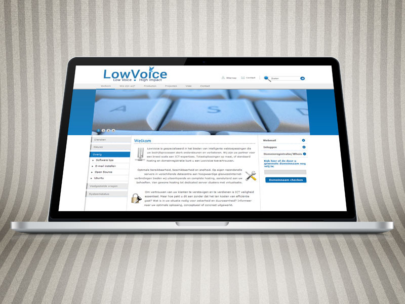 LowVoice Responsive Website